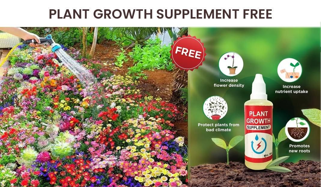 Buy Varieties of Flower Seeds (Pack of 100) And Get Plant Growth Supplement Free.