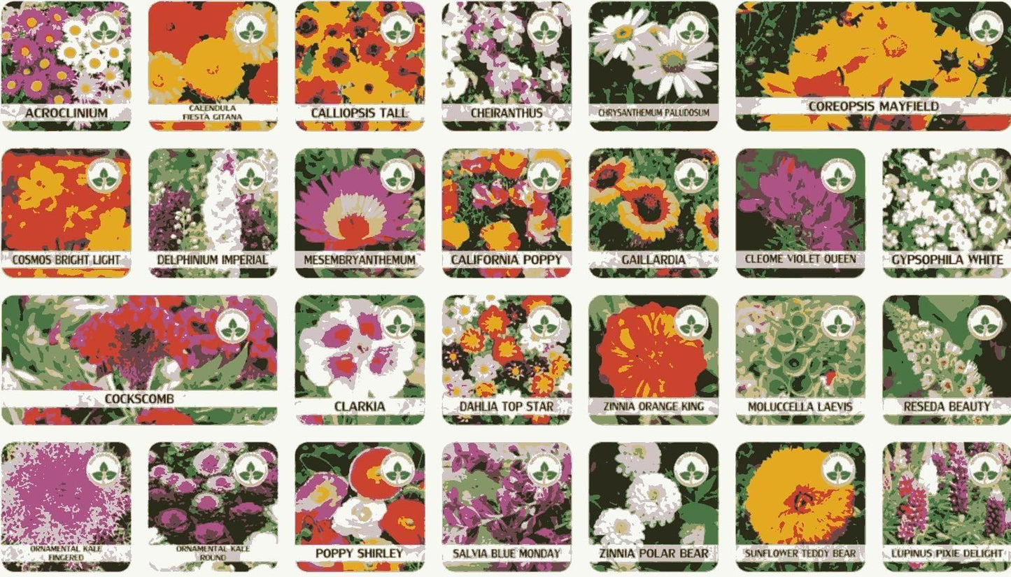 Buy Varieties of Flower Seeds (Pack of 100) And Get Plant Growth Supplement Free.